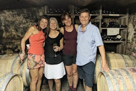 Tour del vino di Vienna Woods - Vini, viti e bei tempi!