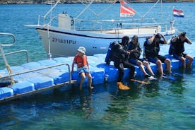 Scuba Diving for Beginners in Pula