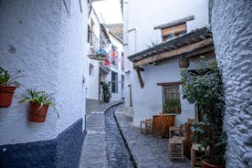 Las Alpujarras heldagstur med valfri lunch från Granada