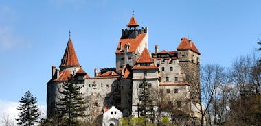 Excursion au château de Bran et à la forteresse de Râșnov avec visite facultative du château de Peleș