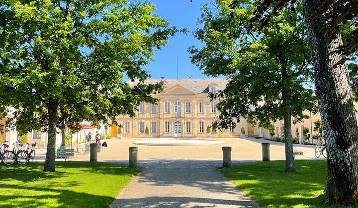 Small-Group Wine Tasting and Chateaux Tour in Medoc or St-Emilion from Bordeaux