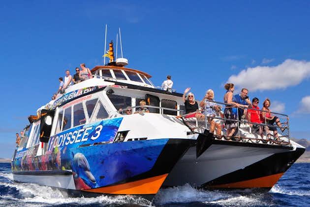 オデッセイ 3: フェルテベントゥラ島のグラス ボトム ボート ツアー