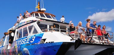 オデッセイ 3: フェルテベントゥラ島のグラス ボトム ボート ツアー