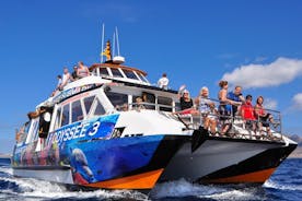 Odyssee 3: excursion en bateau à fond de verre à Fuerteventura