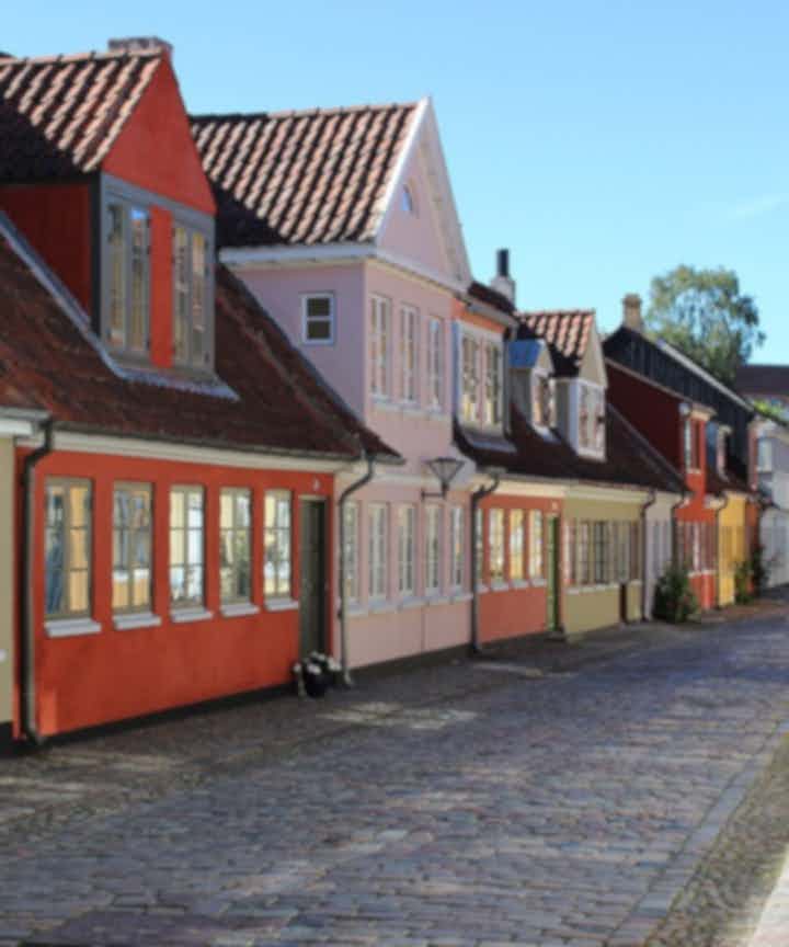 Furgonetas de alquiler en Odense, Dinamarca