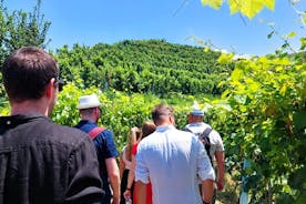 Vinsmagning og vingårdstur fra Tirana/Durres