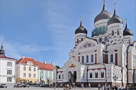 Tallinn Gilla ett lokalt: Anpassad privat rundtur
