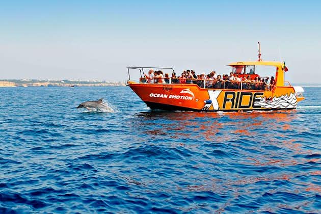 Dolphin Watching and Caves Cruise