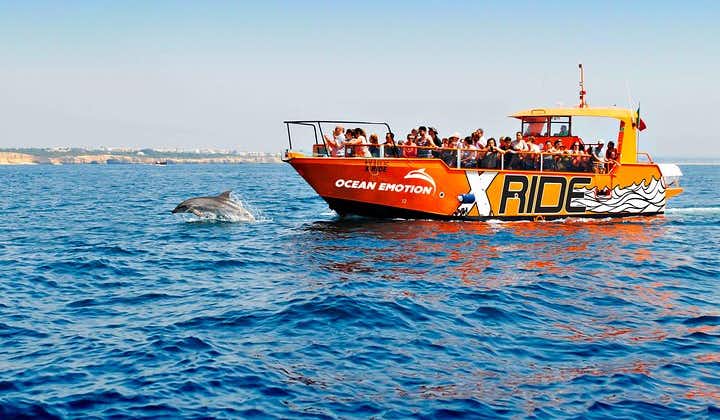 Dolphin Watching and Caves Cruise
