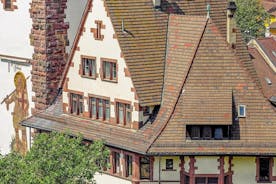 Exklusiv privat guidad tur genom Freiburgs historia med en lokal