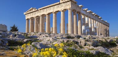 Halvdags sightseeingtur i Aten