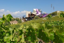 Riojan viinikierros: viinitila ja perinteinen lounas Bilbaosta