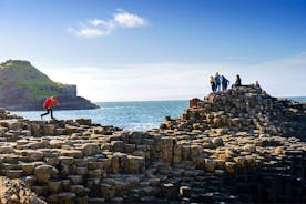 Day Tour from Dublin: Giant's Causeway, Dunluce Castle, Dark Hedges, and Belfast