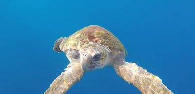Tenerife by Kayak and Snorkeling Adventure in small group 