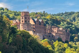 Heidelberg comme un local: Visite privée sur mesure