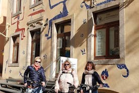 Dresden Highlights - Big city tour with bike