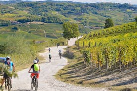 "Langhe del Barolo" Private E-bike Tour - Asphalt and Dirt Road