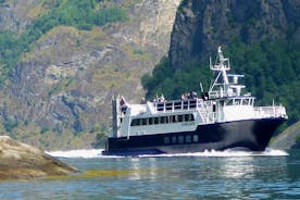 Crucero por el fiordo a Fjærlandsfjord
