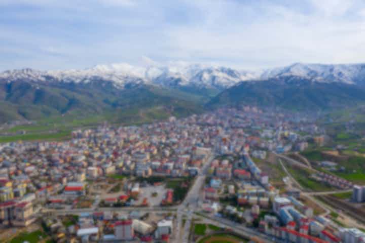 Vols depuis la ville de Samsun vers la ville de Muş