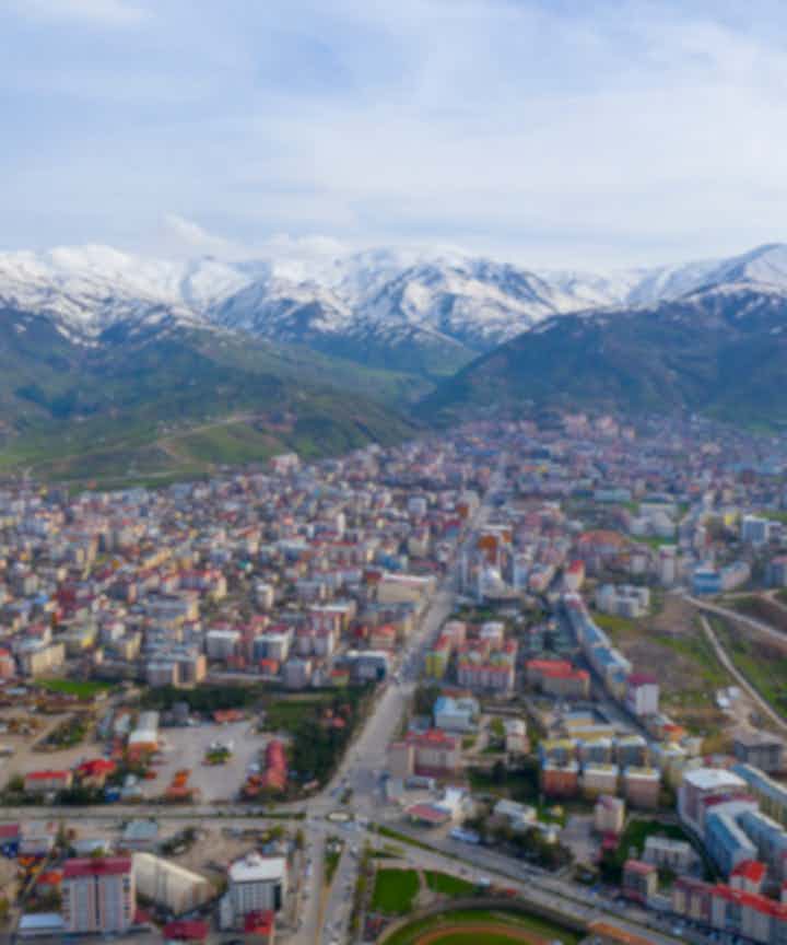 Flights to the city of Muş, Turkey
