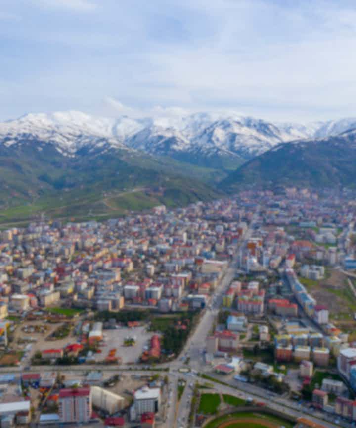 Coches medianos de alquiler en mus, Turquía