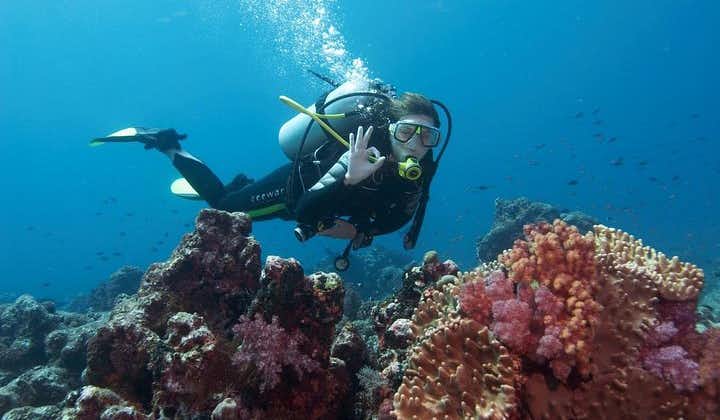 马尔马里斯地区的水肺潜水