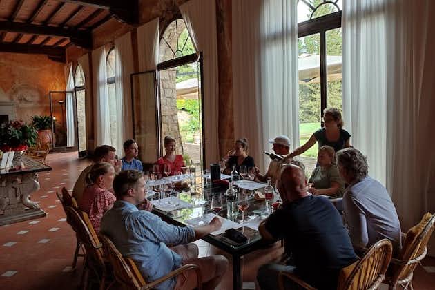Privat vintur med frokost i Chianti Classico (2 vingårde)