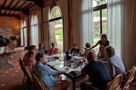 Tour de vinos privado con almuerzo en Chianti Classico (2 bodegas)