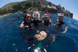 Afternoon snorkelling guided by a marine biologist in Sorrento