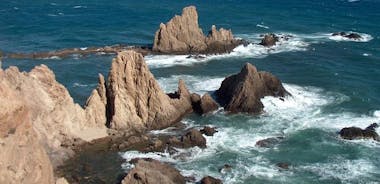 Cabo de Gata自然公园全日游
