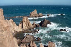 Hel dagstur till Cabo de Gata Natural Park