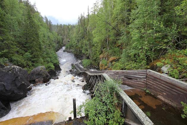 Von Rovaniemi: Tagestour zu den Wasserfällen von Auttiköngäs