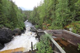 From Rovaniemi: Day Tour Hiking to Auttiköngäs Falls