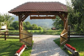 贝尔格莱德的东塞尔维亚修道院和雷萨瓦洞穴之旅