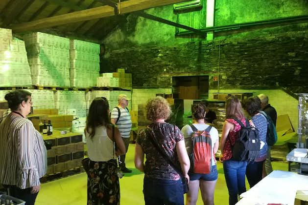 Privat rundtur till klippkonsten i Côa Park, Pinhão och Winery