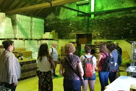 Private Tour to the rock art of Côa Park, Pinhão and Winery