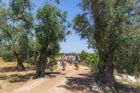 Gallipoli Inland and Surroundings Full-Day Bike Tour