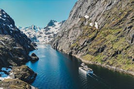Isla Lofoten: crucero silencioso Trollfjord desde Svolvær