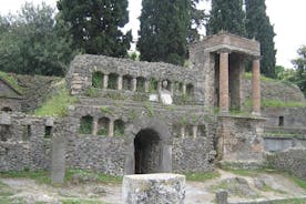 Kustexcursie Napels: halve dagtrip naar Pompeii vanuit Napels