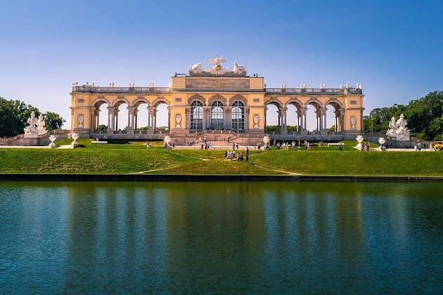 Visite d'une journée du meilleur de Vienne en voiture avec billets pour Schönbrunn