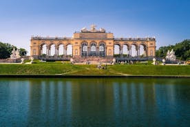 Best of Vienna Tour by Car with Belvedere Palace and Schonbrunn