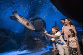 Halvdagstur och vaxmuseum i Antalya Aquarium