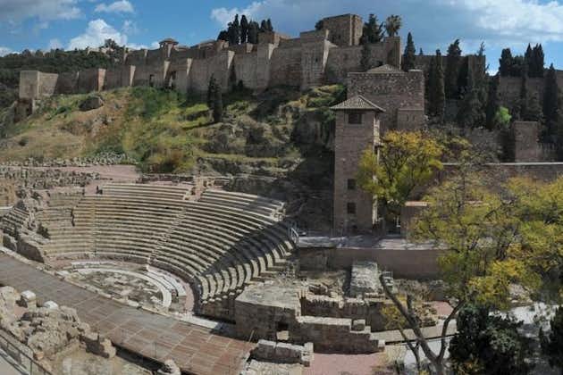 Tour privati ed escursioni a Malaga da Granada per un massimo di 8 persone