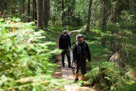 Taiga Forest Hiking Tour From Helsinki