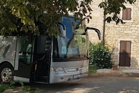 Buss / Coach-ekskursjon