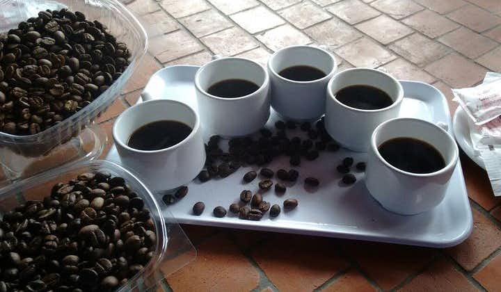 커피와 와인 : 그랑 카나리아 북쪽 루트 투어
