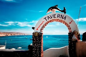 Tour enogastronomico vegano di Santorini