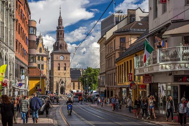 The Essential Oslo Private Walking Tour