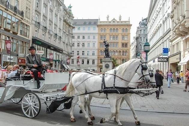 Excursion d'une journée à Vienne impériale au départ de Budapest avec prise en charge à l'hôtel