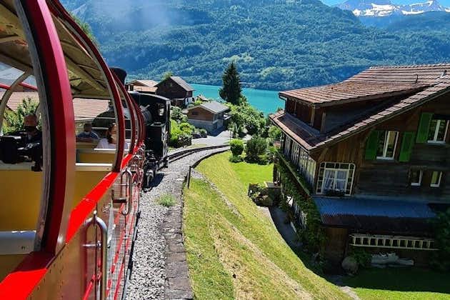 Visite privée des Alpes bernoises avec train à vapeur et croisière sur le lac